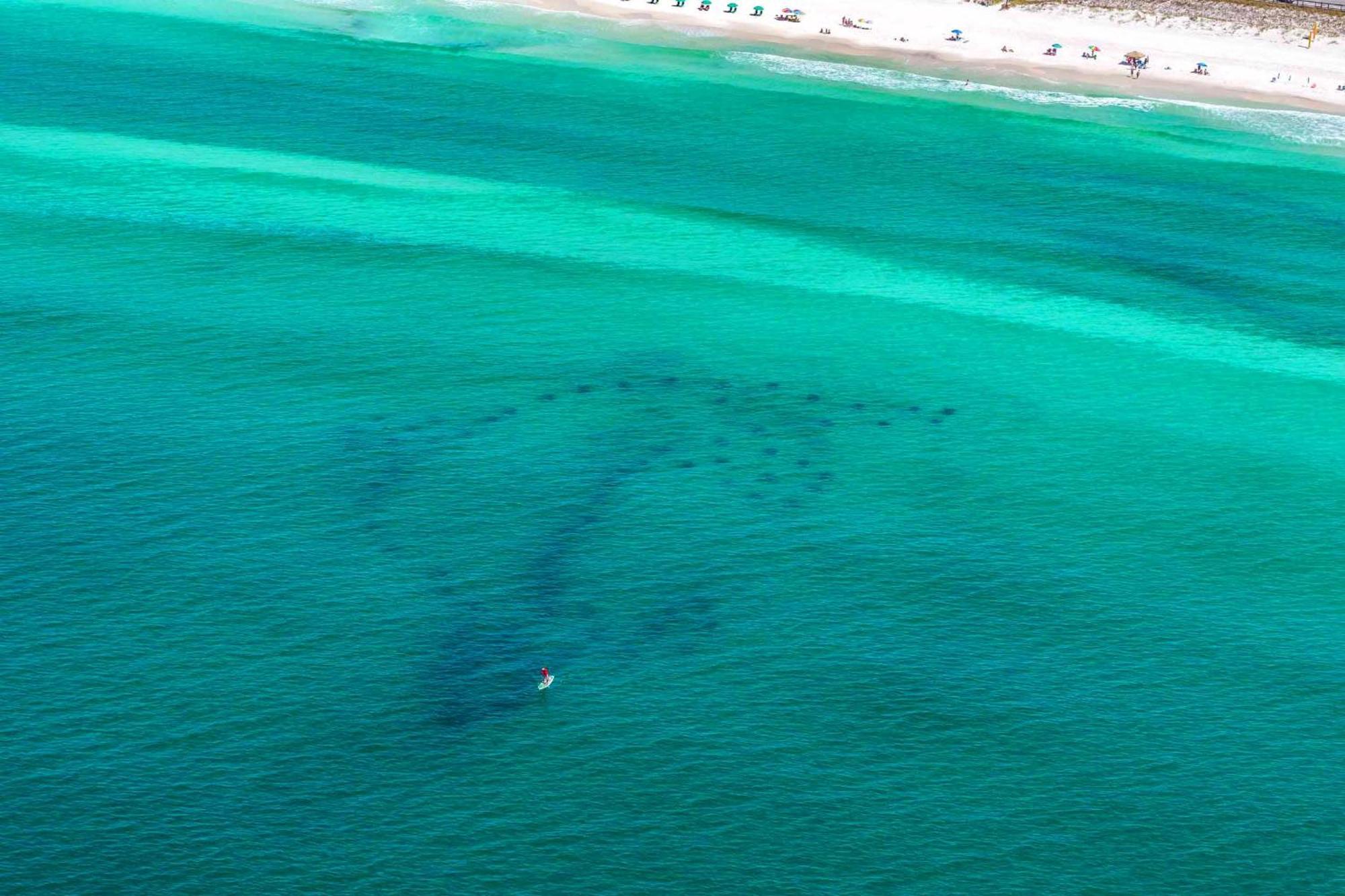 Ariel Dunes I 1307 Destin Extérieur photo